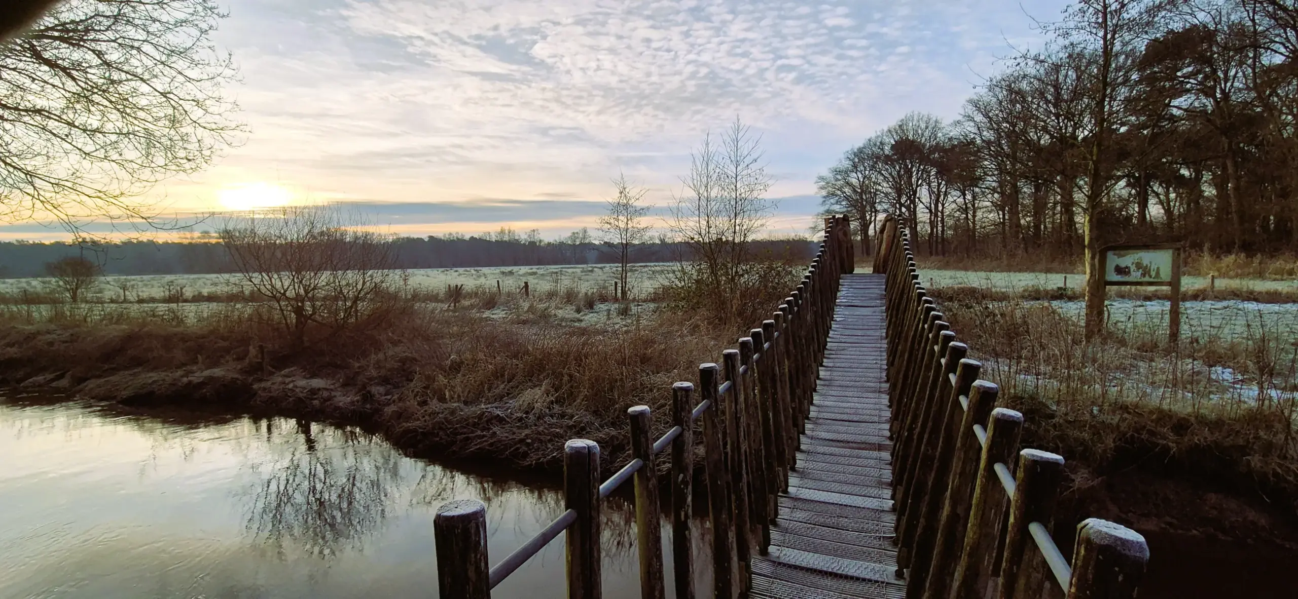 De Bondgenoot werkwijze