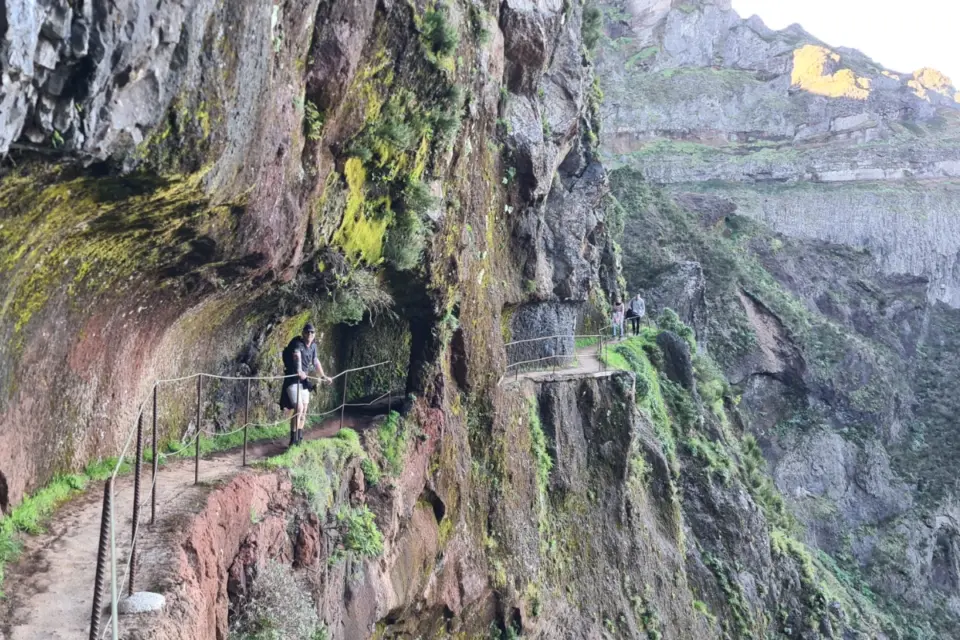 Giel - De Bondgenoot